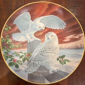 SNOWY OWLS collector plate Jay Matternes
1978